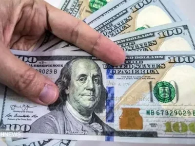 خبر فوری درباره قیمت دلار در  ۲۱ آذر | نرخ انواع ارز اعلام شد