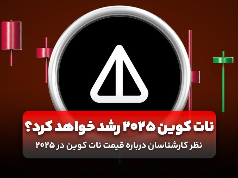 آیا در ۲۰۲۵ نات کوین رشد خواهد کرد؟