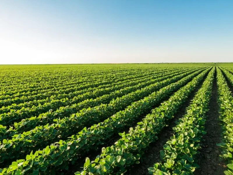 هزینه های سرسام آور انرژی نفس کشاورزان را برید