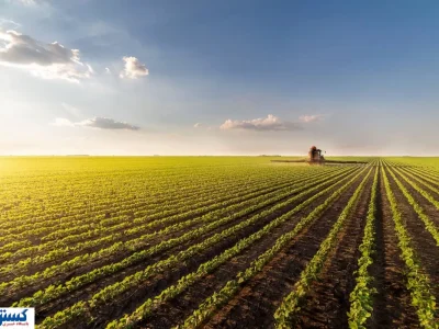 آژیر قرمز برای کشاورزی ایران به صدا درآمد