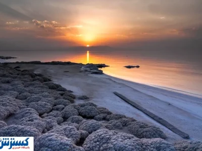 شرط احیای جِگرگوشه ایران اعلام شد؛ آخرین فرصت برای نجات