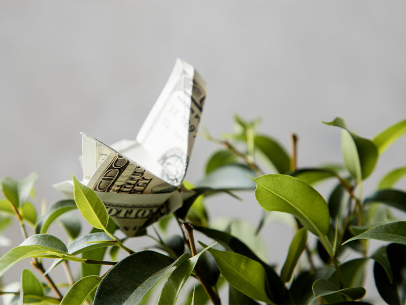 تصفیه هوا، هزینه امروز یا سرمایهگذاری فردا تصفیه هوای ایستکول