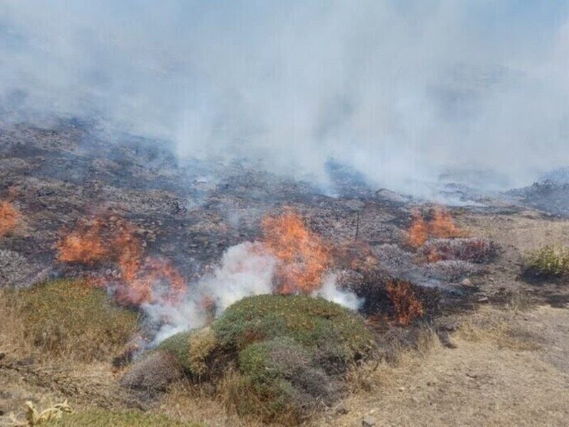 آتش به جان جنگل ابر شاهرود افتاد/ سومین جنگل ایران دچار حریق شد