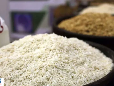 برنج درجه یک ایرانی ۱۵۵ درصد گران شد؛ کمبود کالری در سفره‌ها
