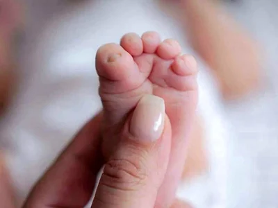 دولت سنگ تمام گذاشت ؛ آغاز ثبت نام سهام ویژه نوزادان + لینک اصلی