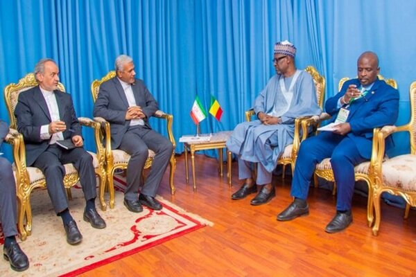 دیدار فرستاده ویژه عراقچی با وزیر خارجه نیجر