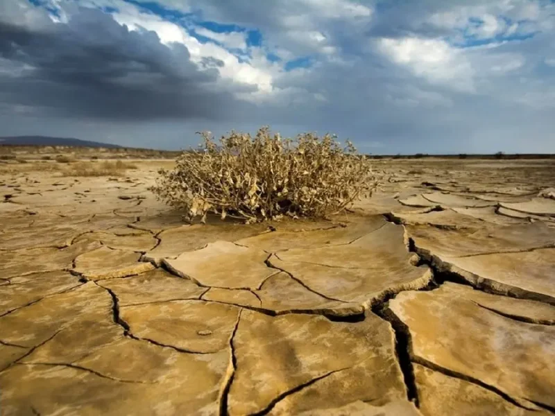 رگ‌های حیاتی کشور خشک شد | این آمار تاریخ را لرزاند