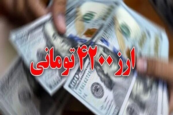 زارعی: حذف ارز ترجیحی تبعات جبرانناپذیری دارد
