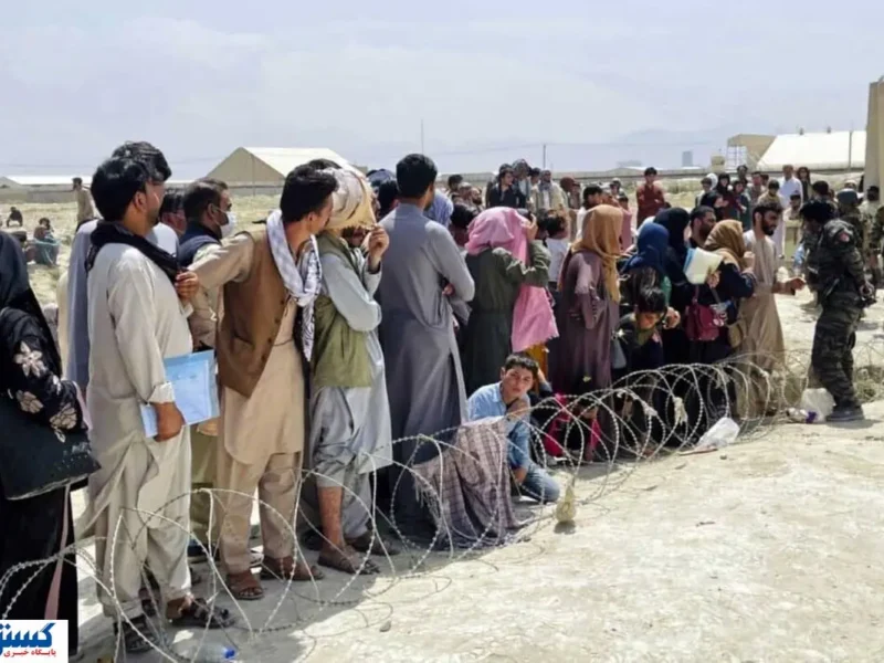 طرح بزرگ ساماندهی اشتغال اتباع؛ کارفرما باید اول سراغ ایرانی‌ها برود