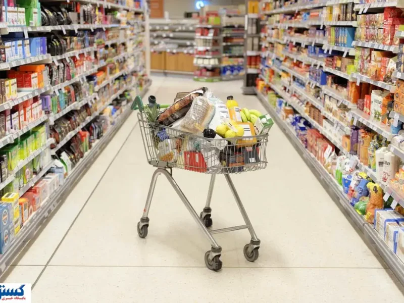 طرح جدید آماده اجرا؛ یارانه نقدی جای خود را به تخفیف مستقیم می‌دهد؟