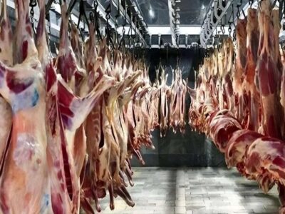 قیمت گوشت قرمز امروز ۸ آذر ۱۴۰۴ / راسته گوسفندی چند؟