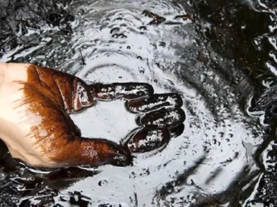 معامله‌ گران در بُهت ؛ نفت قربانی شد