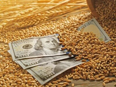 هزینه واردات جهانی مواد غذایی در سال ۲۰۲۵ رکورد زد؛ پیش بینی افزایش ۸درصدی هزینه ها