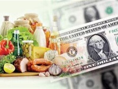 پشت‌پرده گرانی مواد غذایی با وجود تخصیص ارز ترجیحی