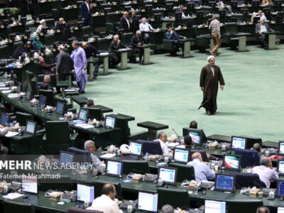 ۴۵ نماینده خواستار نظارت بر نحوه فعالیت فروشگاه‌های زنجیره‌ای شدند