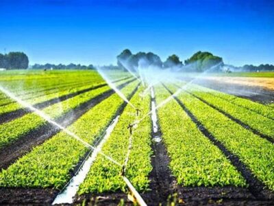 ۱۰۰ میلیون دلار تجهیزات آبیاری محصولات کشاورزی صادر شد