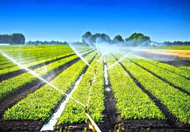 ۱۰۰ میلیون دلار تجهیزات آبیاری محصولات کشاورزی صادر شد