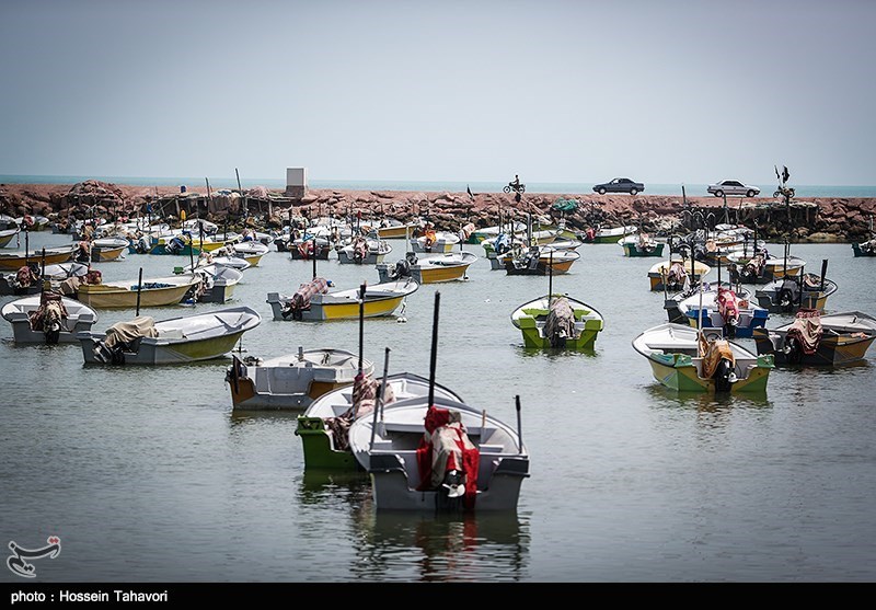 آغاز اجرای پروژه‌های بهسازی در ۱۷ بندر ماهیگیری کشور