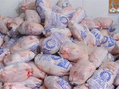 آغاز توزیع مرغ منجمد ۱۲۵ هزار تومانی در تهران