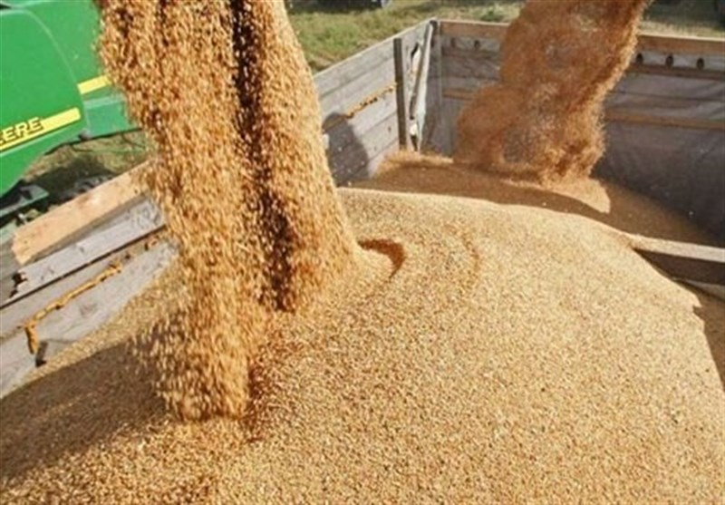 اختصاصی/ قیمت خرید تضمینی جو و ذرت ۲۳ هزار تومان تعیین شد