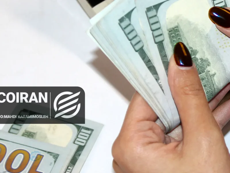 ارز ترجیحی قربانی چند نفر شد/ ۶ میلیارد دلار کجا رفت؟