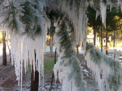 بارش برف و باران در ۱۴ استان؛ یخبندان در راه است