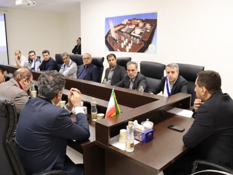 تأکید مدیرعامل پترول بر تکمیل هرچه سریعتر نخستین طرح تولید متیل آمین کشور