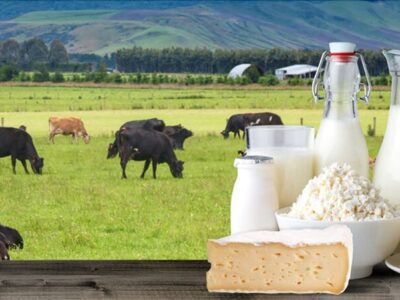 تصمیمگیری درباره قیمت لبنیات در هفته جاری