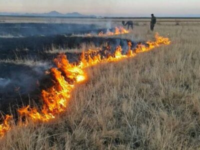 جزئیات مهار آتشسوزی در پارک ملی دریاچه ارومیه