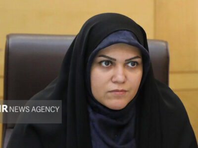 خدادادی: کاهش بودجه فرهنگ، قدرت نرم و هویت ملی را تهدید میکند