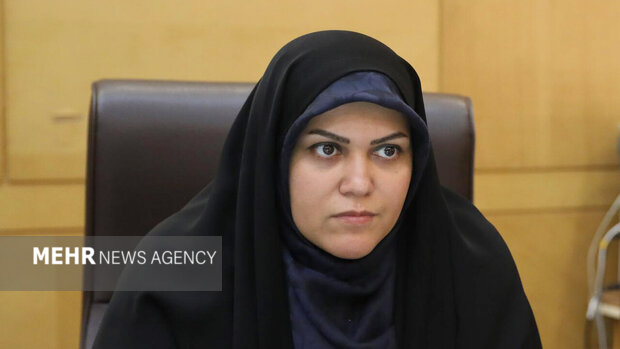 خدادادی: کاهش بودجه فرهنگ، قدرت نرم و هویت ملی را تهدید میکند