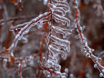 دمای تهران امشب به منفی ۲ درجه خواهد رسید