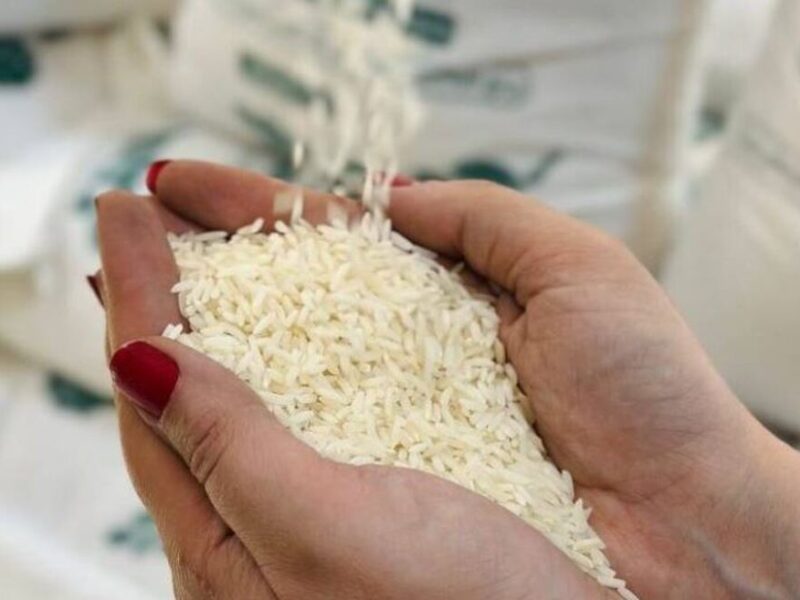 قیمت برنج امروز ۳۰ آذر ۱۴۰۴ / برنج طارم چند؟
