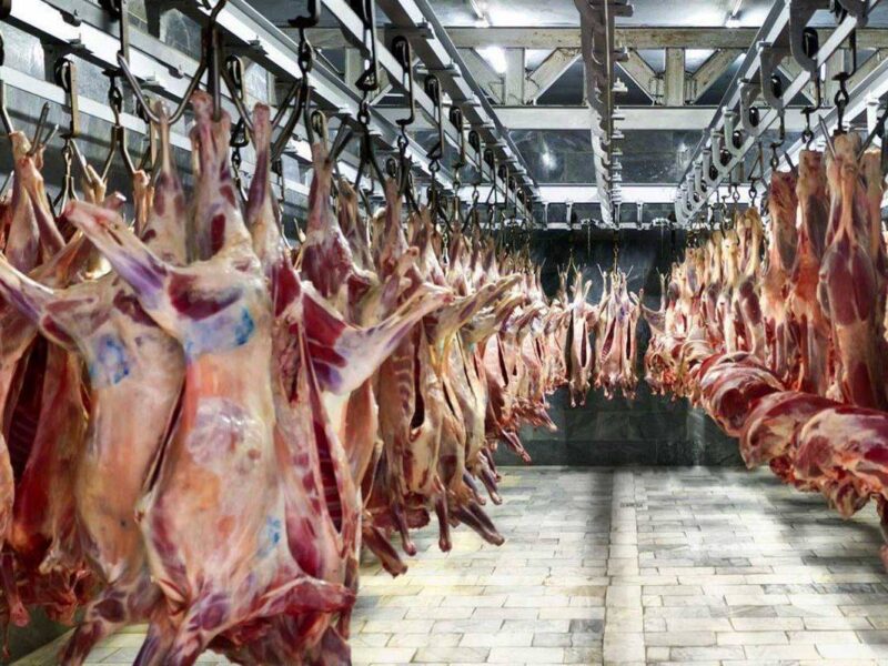 قیمت گوشت قرمز امروز ۱ دی ۱۴۰۴ / ران گوساله چند؟