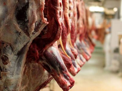 قیمت گوشت قرمز امروز ۲۴ آذر ۱۴۰۴ / گوشت چرخکرده چند؟