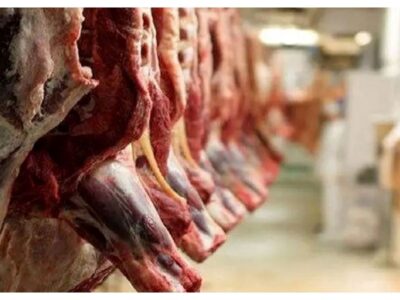 قیمت گوشت قرمز امروز ۳۰ آذر ۱۴۰۴ / راسته گوسفندی چند؟