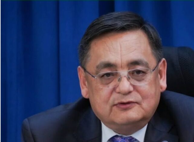 معاون دبیرکل اکو: ارس در فهرست بررسی پایتخت‌های گردشگری جدید قرار می‌گیرد