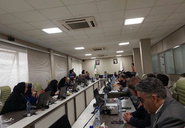 مقوا در بن‌بست ارزی| ثبت‌سفارش کنسرسیومی برای مهار بازار