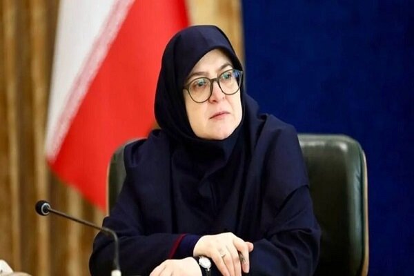 مهاجرانی: تثبیت قیمت‌ها اشتباهی بود که در دولت‌های قبل انجام شد