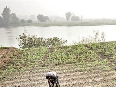 نقش تاریخی نیل در کشاورزی مصر و پیامدهای سدسازی