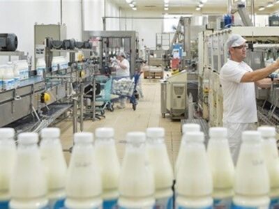 وعده دولت برای کاهش قیمت لبنیات و هشدار داغ درفش به صنایع