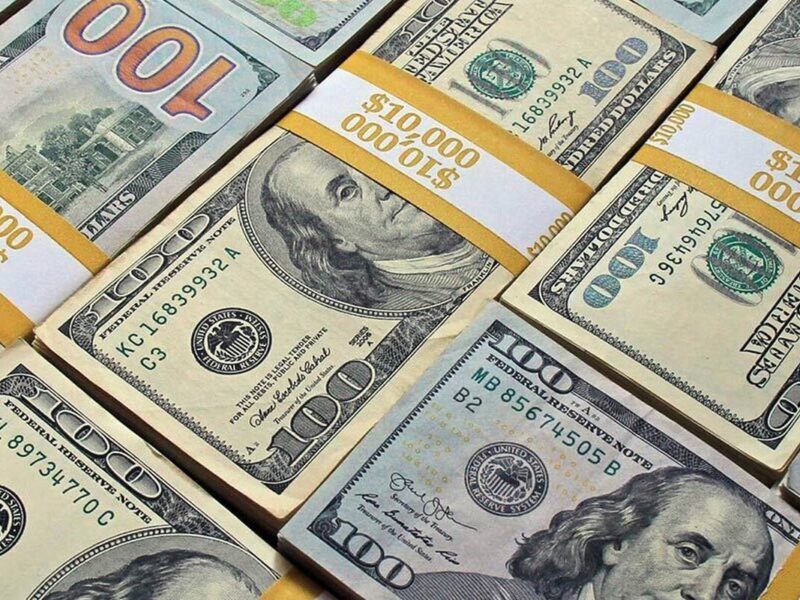 کدام کالا بیشترین ارز ترجیحی گرفت؟ / ذرت با ۲.۶ میلیارد دلار در صدر