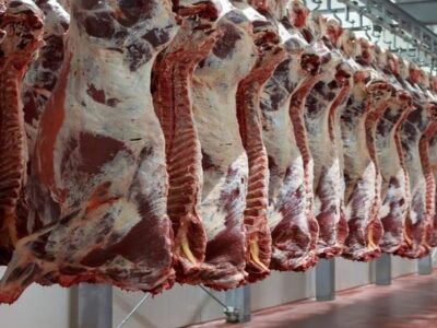 ۹۰ درصد گوشت قرمز از داخل تأمین می‌شود