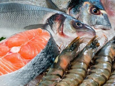 آزادسازی ارز بر صنعت آبزیان اثرات مثبت دارد | افزایش یک درصدی صادرات در ۹ ماهه ۱۴۰۴