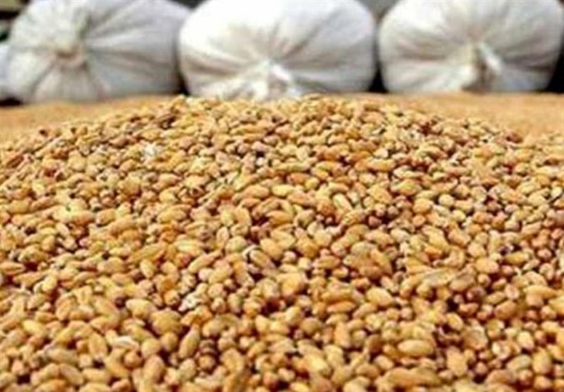 بسته حمایتی دولت برای تولیدکنندگان پس از حذف ارز ۲۸۵۰۰