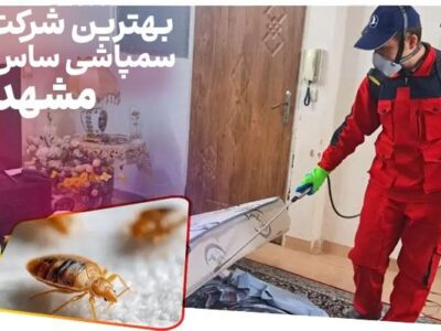 بهترین شرکت سمپاشی ساس مشهد [ بدون تخلیه با ضمانت کتبی ]