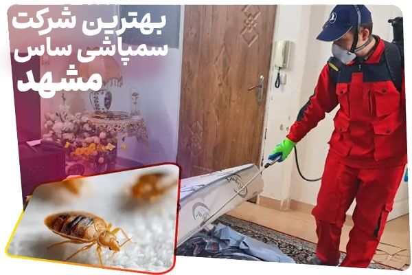 بهترین شرکت سمپاشی ساس مشهد [ بدون تخلیه با ضمانت کتبی ]