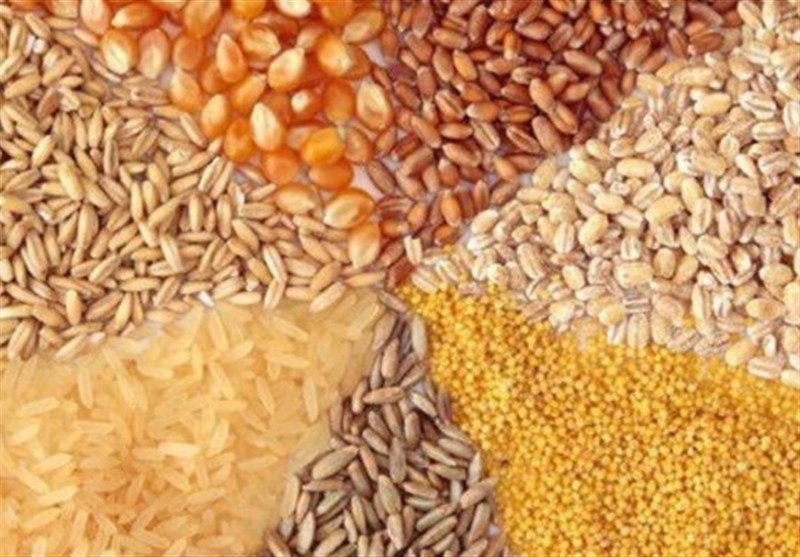 نهاده‌های فروخته‌شده گران نمی‌شود