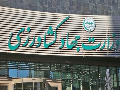 ابلاغ مصوبه دولت برای تسریع ترخیص نهاده‌های دامی