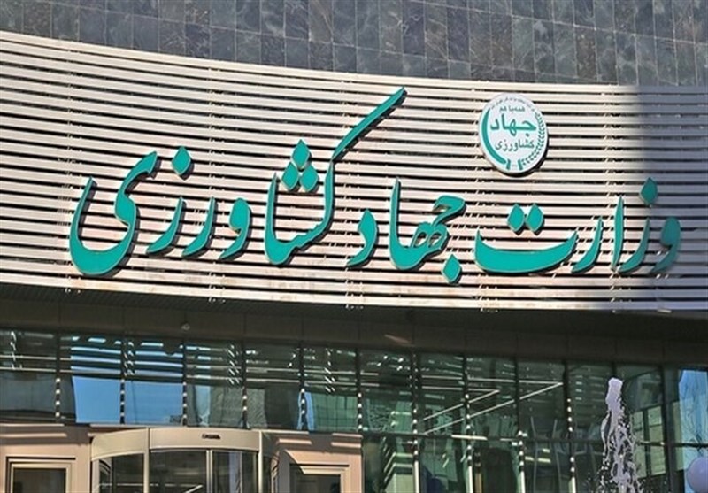 ابلاغ مصوبه دولت برای تسریع ترخیص نهادههای دامی